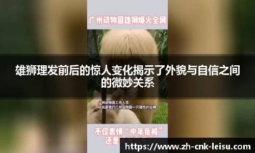 雷速体育比分