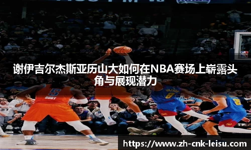 雷速体育官网
