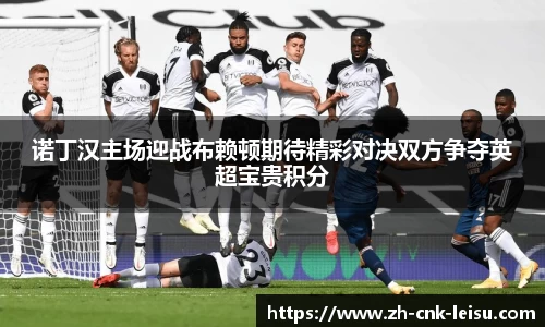 诺丁汉主场迎战布赖顿期待精彩对决双方争夺英超宝贵积分